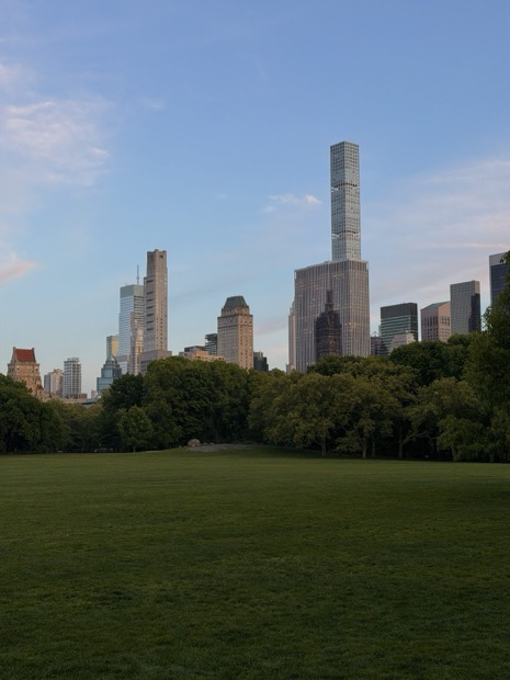 Sheep Meadow, Central Park